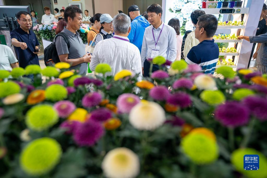 棋牌几点放水